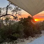 Stunning Sea View Tiny House Holiday home