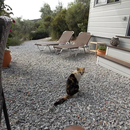 Feriehus Stunning Sea View Tiny House *