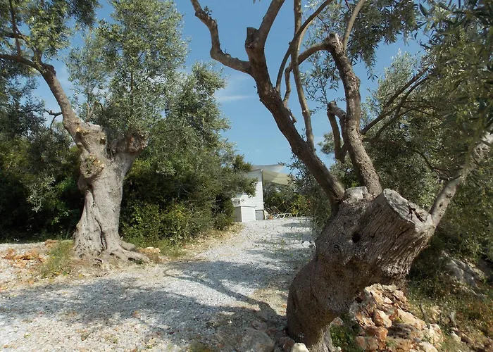 Stunning Sea View Tiny House * Metochi (South Pelion)